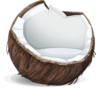 A cartoon illustration of half a coconut